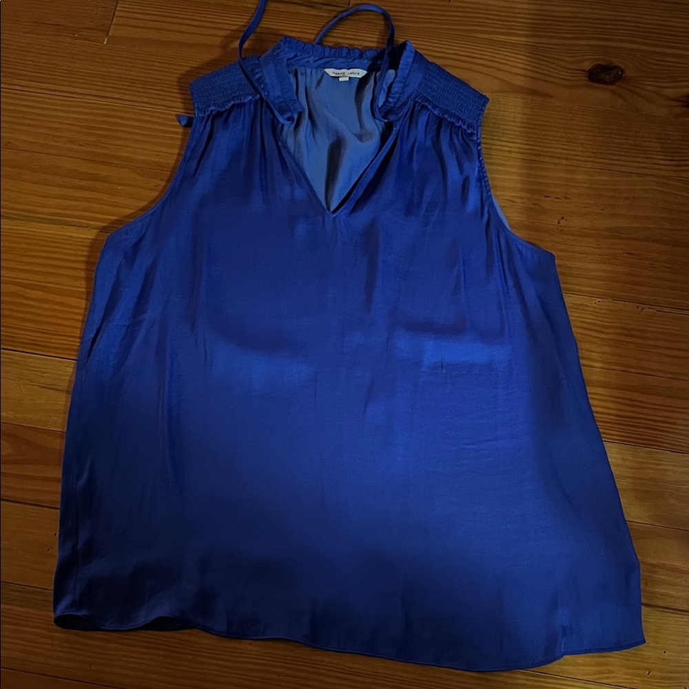 Naked Zebra Cobalt Blue V-Neck Blouse